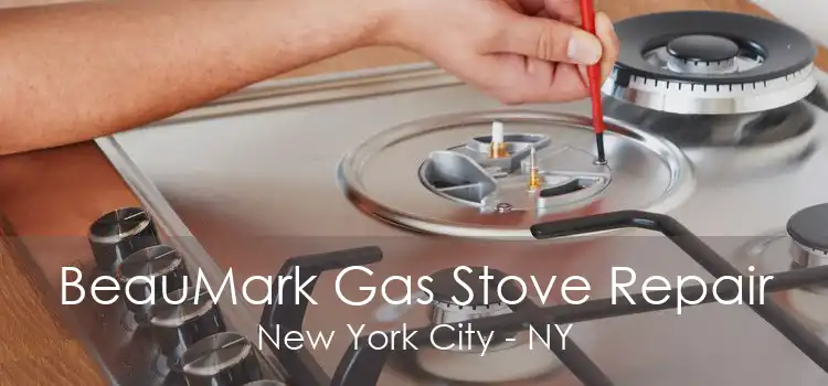 BeauMark Gas Stove Repair New York City - NY