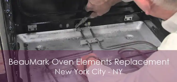 BeauMark Oven Elements Replacement New York City - NY