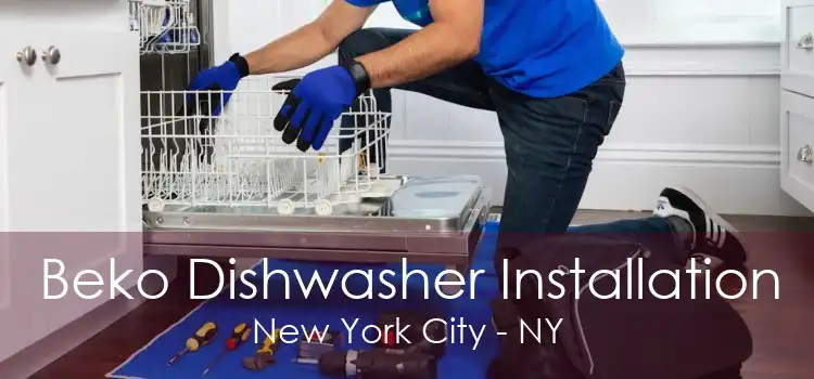 Beko Dishwasher Installation New York City - NY