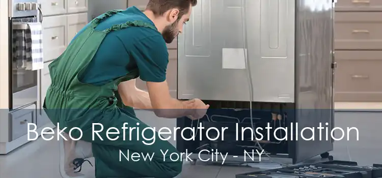 Beko Refrigerator Installation New York City - NY