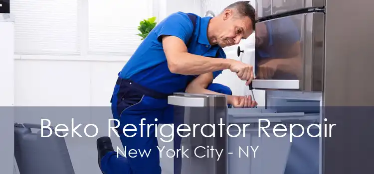 Beko Refrigerator Repair New York City - NY