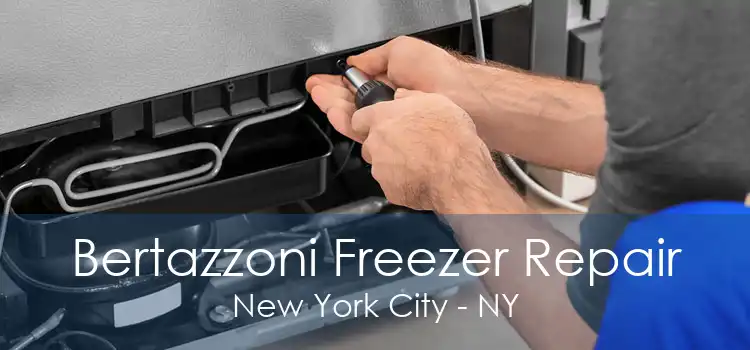 Bertazzoni Freezer Repair New York City - NY