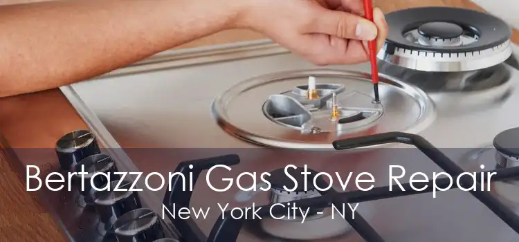 Bertazzoni Gas Stove Repair New York City - NY