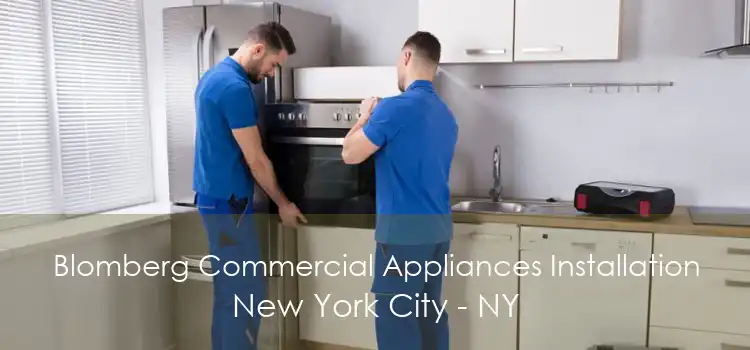 Blomberg Commercial Appliances Installation New York City - NY