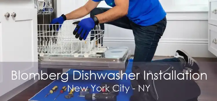 Blomberg Dishwasher Installation New York City - NY