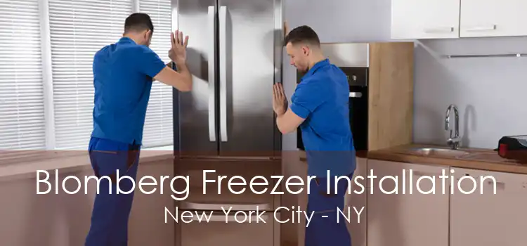 Blomberg Freezer Installation New York City - NY