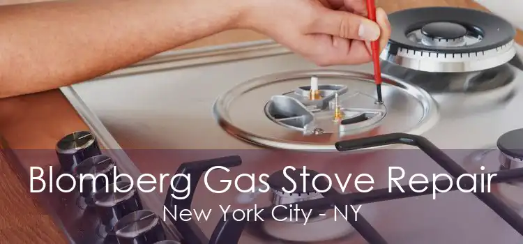 Blomberg Gas Stove Repair New York City - NY