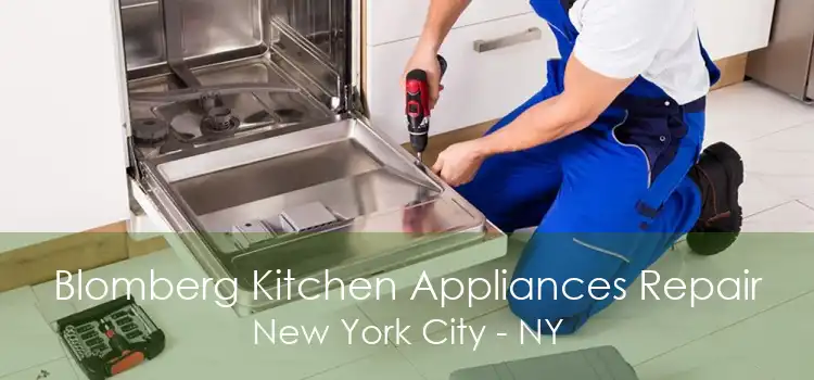 Blomberg Kitchen Appliances Repair New York City - NY