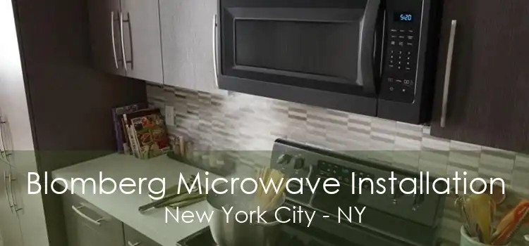 Blomberg Microwave Installation New York City - NY