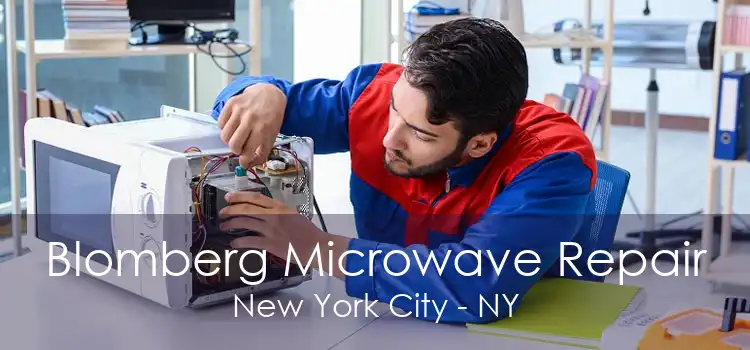 Blomberg Microwave Repair New York City - NY