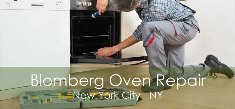 Blomberg Oven Repair New York City - NY