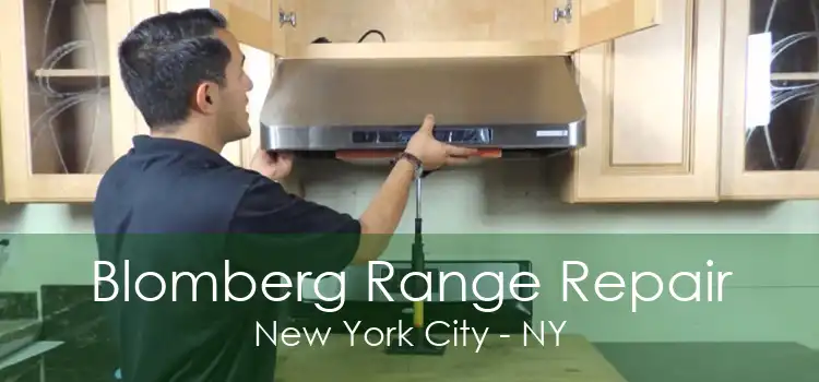 Blomberg Range Repair New York City - NY