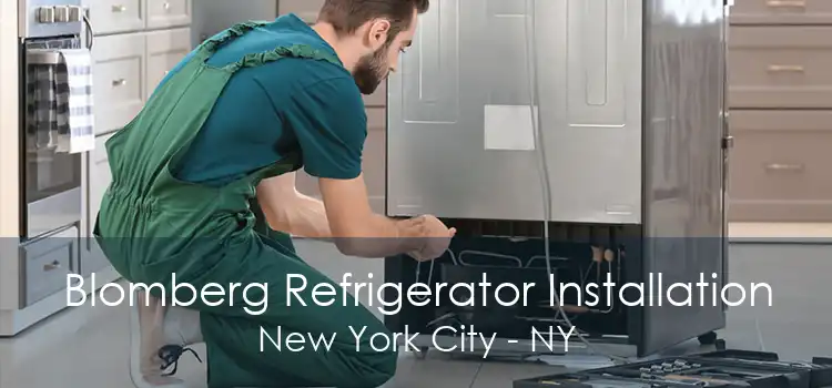 Blomberg Refrigerator Installation New York City - NY