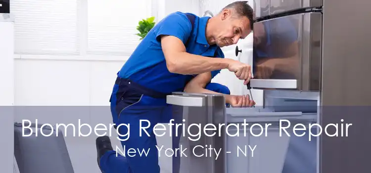 Blomberg Refrigerator Repair New York City - NY