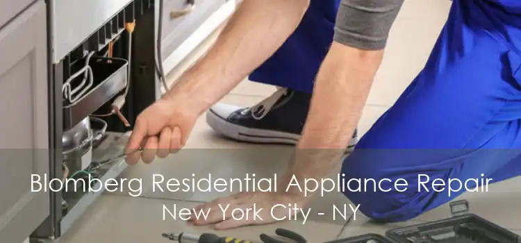 Blomberg Residential Appliance Repair New York City - NY