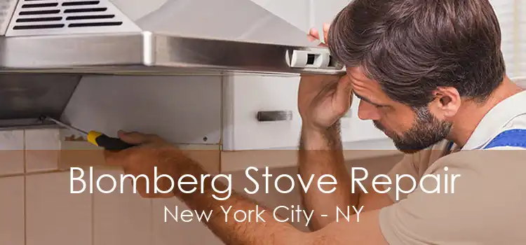 Blomberg Stove Repair New York City - NY