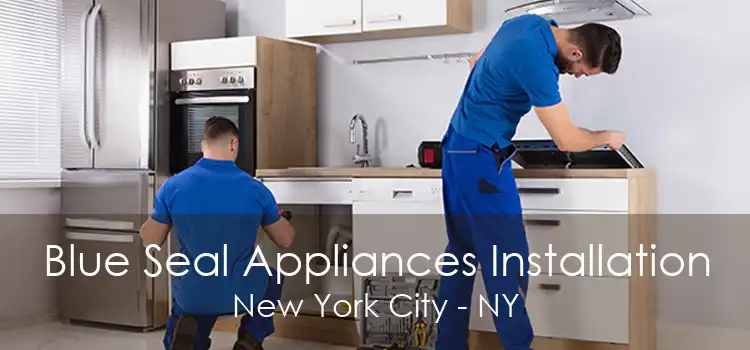 Blue Seal Appliances Installation New York City - NY