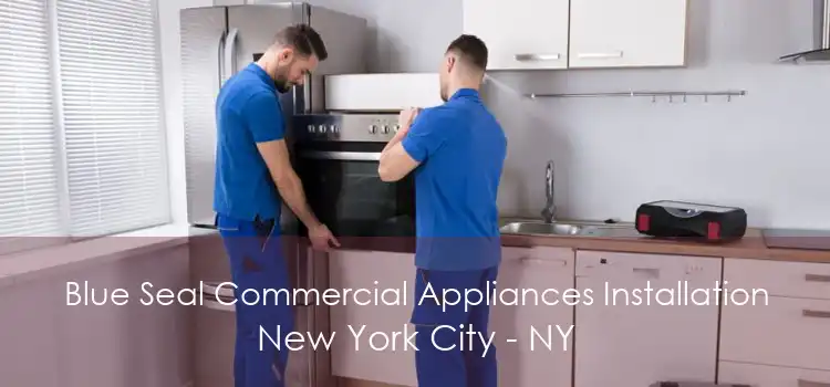 Blue Seal Commercial Appliances Installation New York City - NY