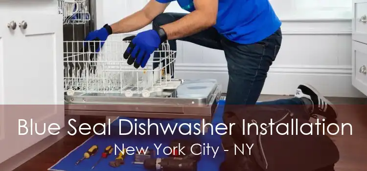 Blue Seal Dishwasher Installation New York City - NY