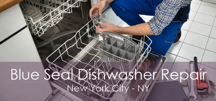 Blue Seal Dishwasher Repair New York City - NY