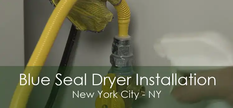 Blue Seal Dryer Installation New York City - NY