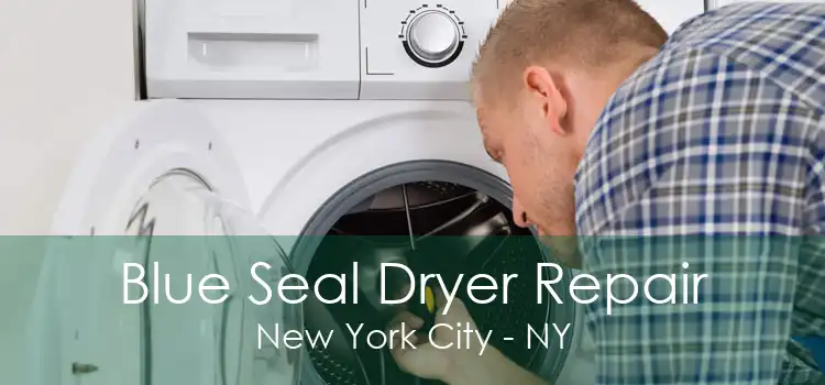 Blue Seal Dryer Repair New York City - NY