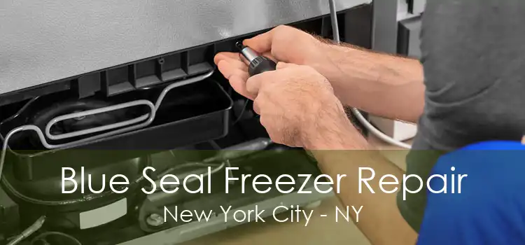 Blue Seal Freezer Repair New York City - NY