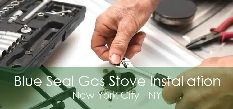 Blue Seal Gas Stove Installation New York City - NY