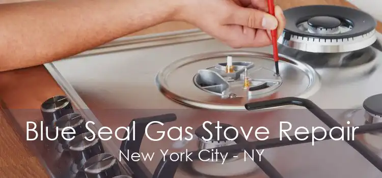 Blue Seal Gas Stove Repair New York City - NY