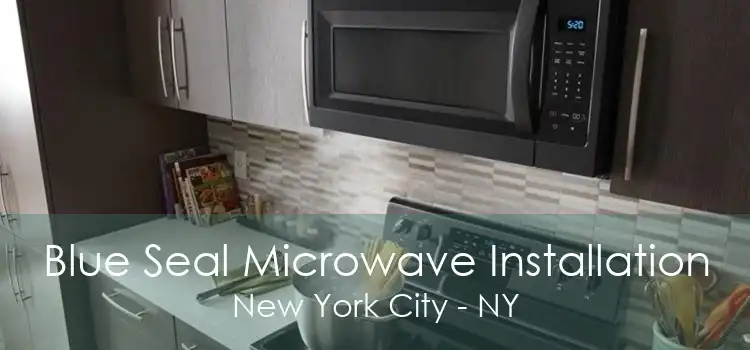 Blue Seal Microwave Installation New York City - NY