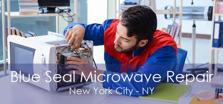 Blue Seal Microwave Repair New York City - NY