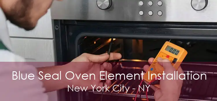 Blue Seal Oven Element Installation New York City - NY