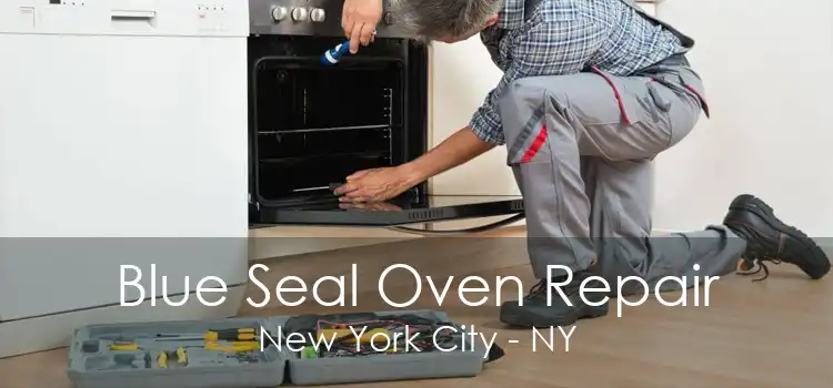 Blue Seal Oven Repair New York City - NY