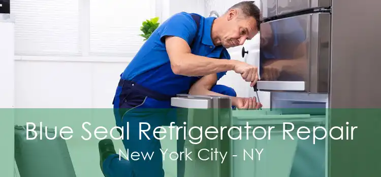 Blue Seal Refrigerator Repair New York City - NY