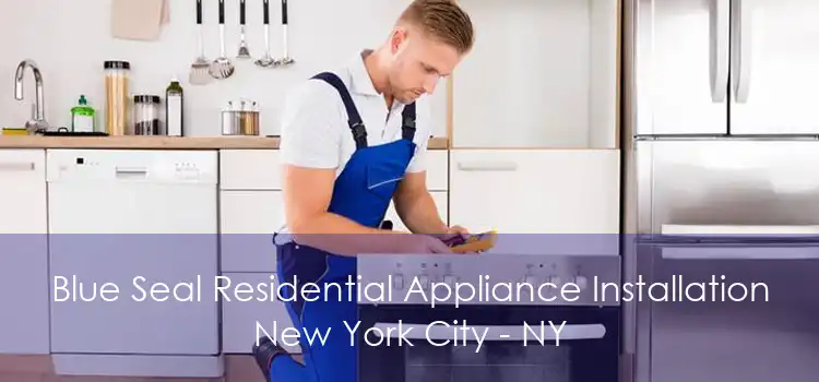 Blue Seal Residential Appliance Installation New York City - NY