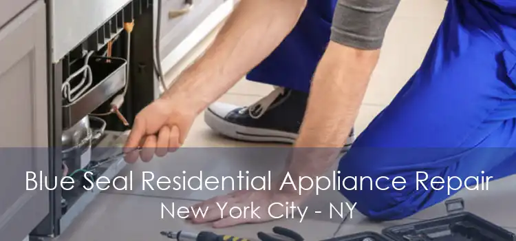 Blue Seal Residential Appliance Repair New York City - NY