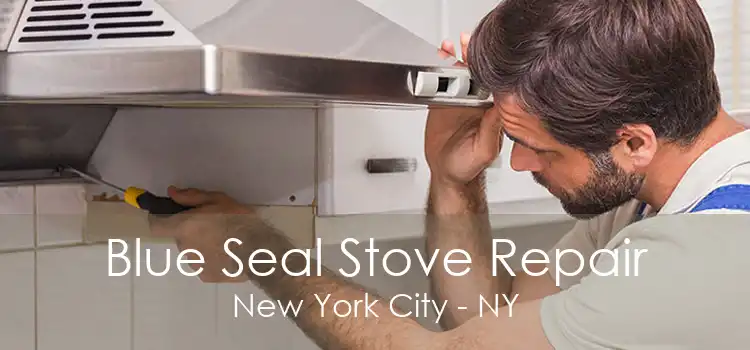 Blue Seal Stove Repair New York City - NY