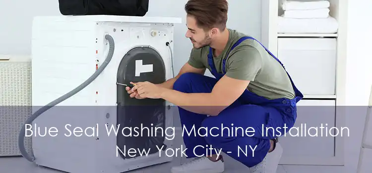 Blue Seal Washing Machine Installation New York City - NY