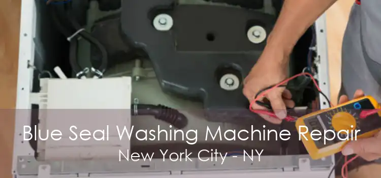 Blue Seal Washing Machine Repair New York City - NY