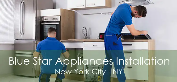 Blue Star Appliances Installation New York City - NY