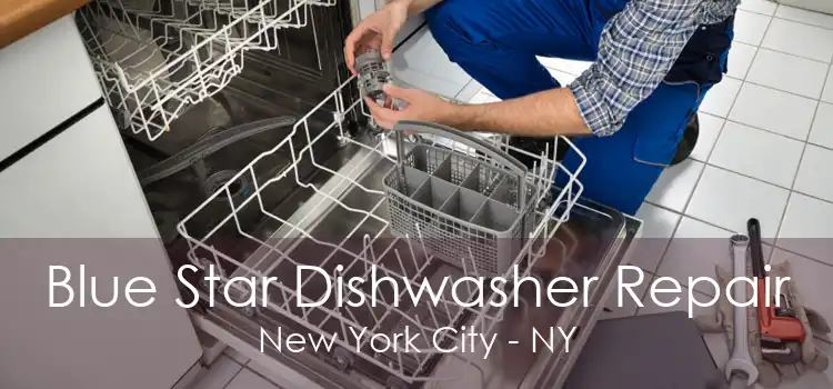 Blue Star Dishwasher Repair New York City - NY