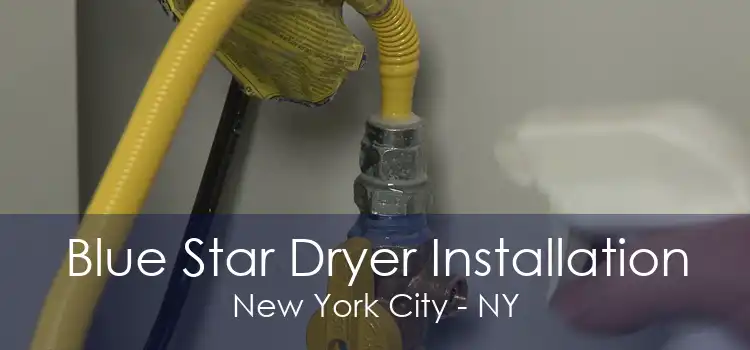 Blue Star Dryer Installation New York City - NY