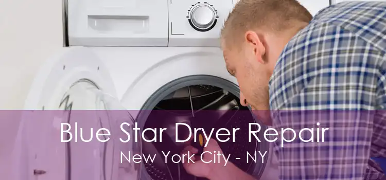 Blue Star Dryer Repair New York City - NY