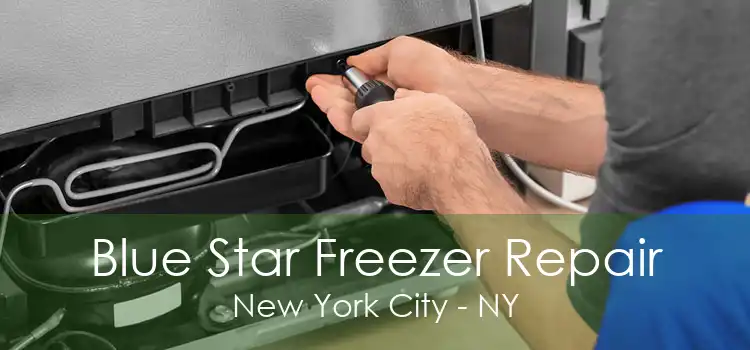 Blue Star Freezer Repair New York City - NY