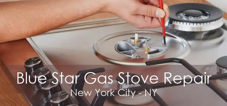 Blue Star Gas Stove Repair New York City - NY