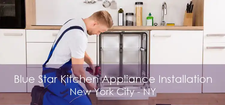 Blue Star Kitchen Appliance Installation New York City - NY