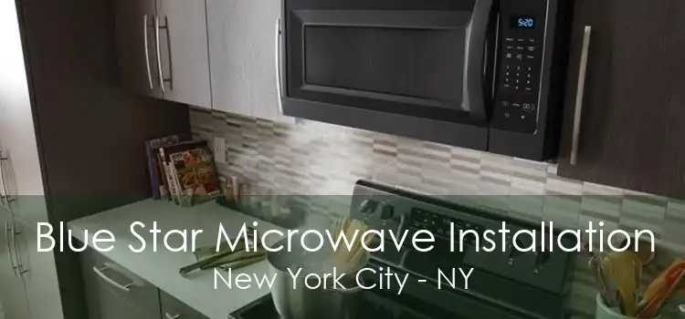 Blue Star Microwave Installation New York City - NY