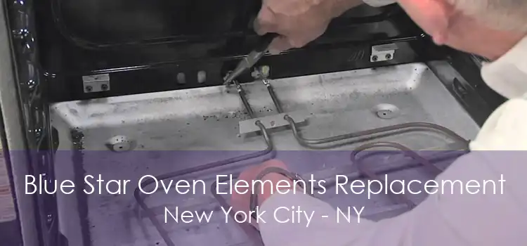 Blue Star Oven Elements Replacement New York City - NY