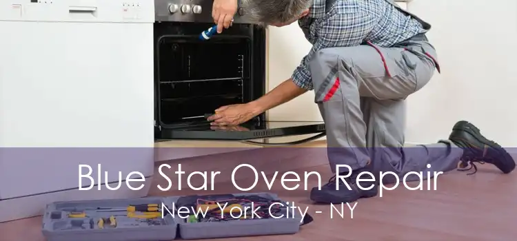 Blue Star Oven Repair New York City - NY