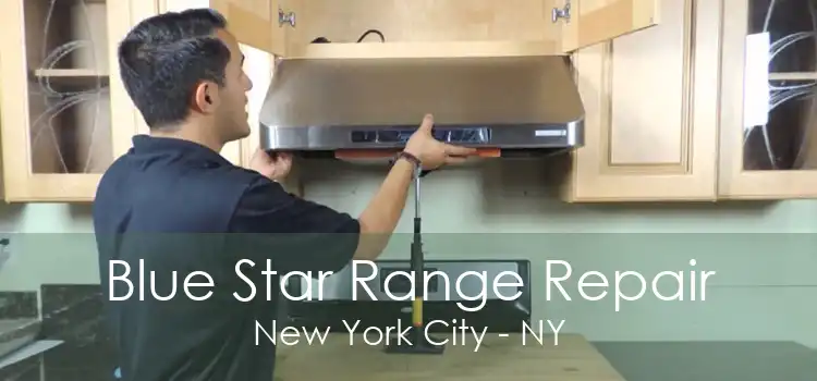 Blue Star Range Repair New York City - NY